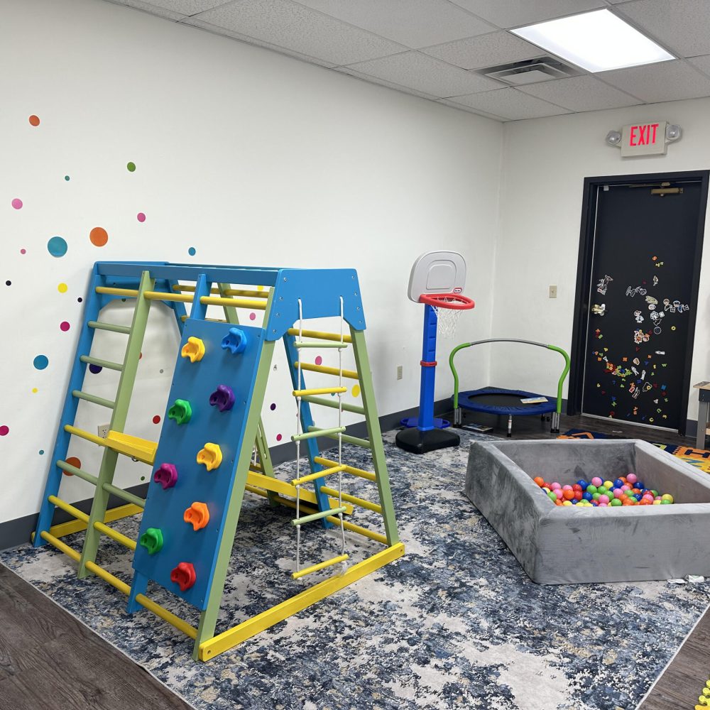 Applied Learning Institutes playroom showcasing a climbing play area, puzzles, toys, and open windows.