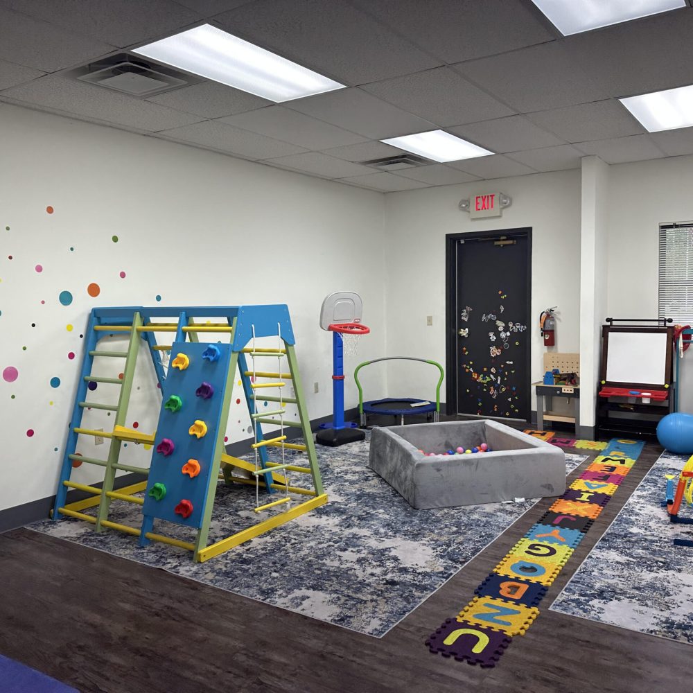 Applied Learning Institutes playroom showcasing a climbing play area, basketball hoop, ball pit, puzzles, toys, and open windows.