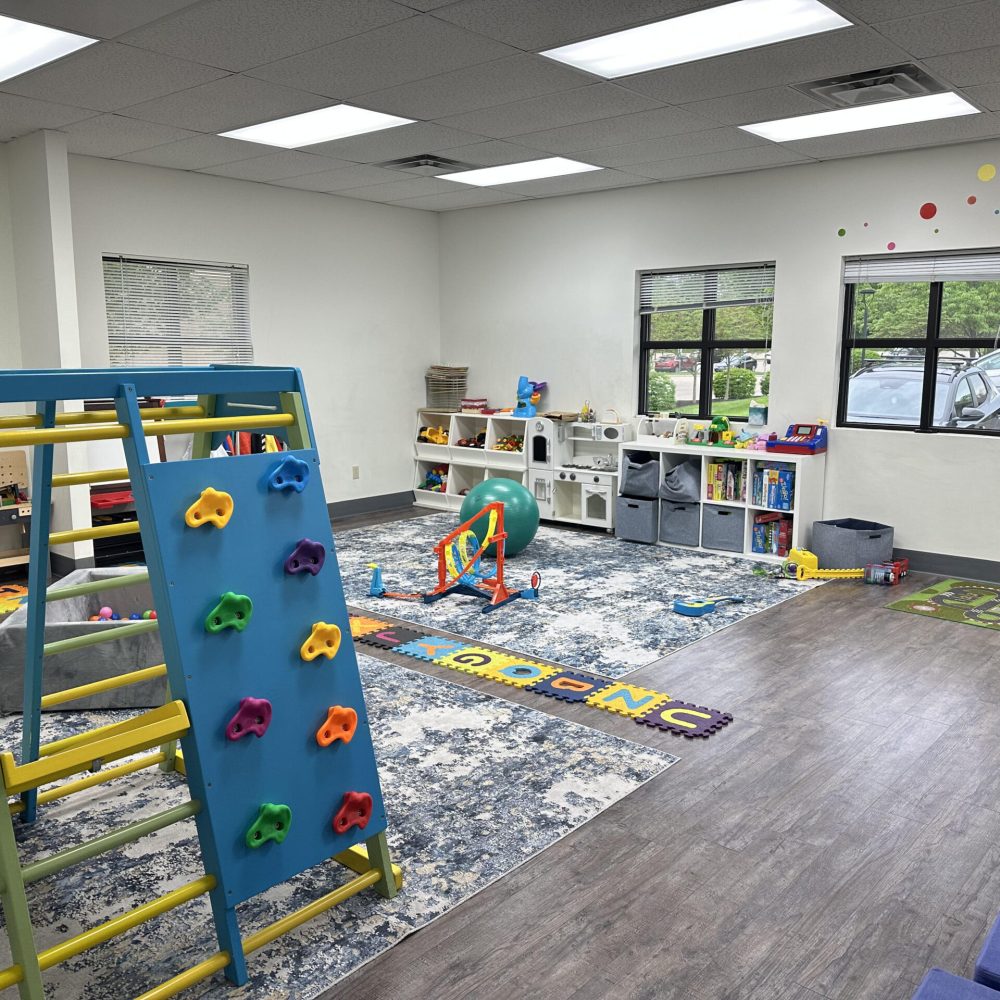 Applied Learning Institutes playroom showcasing a climbing play area, puzzles, toys, and open windows.